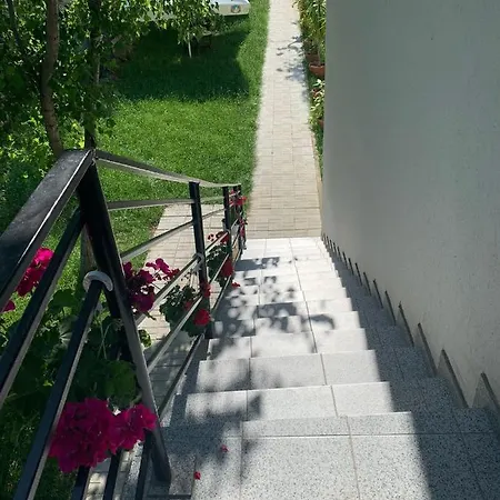 Casa Steluta De Mare 3*